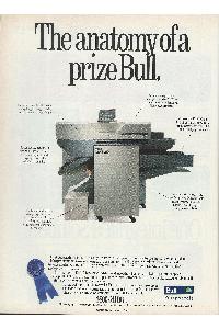 Bull - The anatomy of a prize Bull