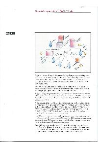 Digital Equipment Corp. (DEC) - Network Integration for then IBM PC Family