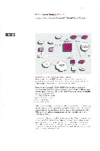 Digital Equipment Corp. (DEC) - Remote System Manager Version2