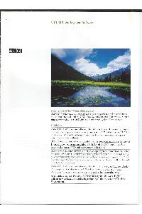 Digital Equipment Corp. (DEC) - Ultrix Worksystem Software