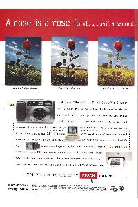 Epson - A rose is a rose is a... wait a second.