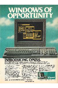 Esprit System Inc. - Windows of opportunity