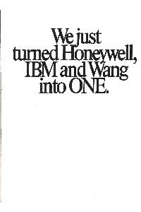 Honeywell - We just turned Honeywell, IBM and Wang into one.