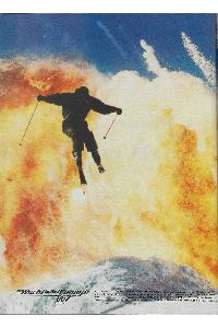 Hewlett-Packard - Jornada 430se PalmSize PC