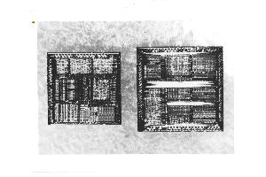 IBM (International Business Machines) - Photo Two New Chips By IBM