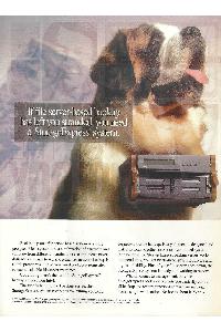 Intel Corp. - If file sewer-based backup has left you stranded, you need a StorageExpress system.