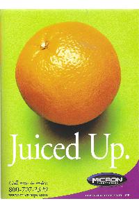 Micron Electronics Inc - Juiced Up