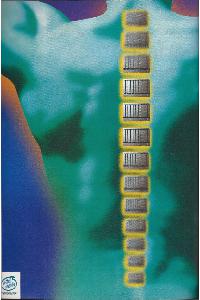 Multitech Electronics Inc. (Acer) - The Acer alternative