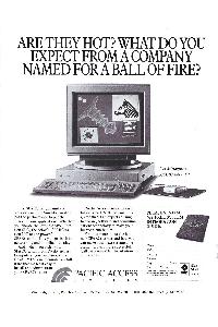 Pacific Access Computers - Are they hot? What do you expect from a company named for a ball of fire?