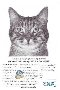 QMS Inc. - Is this a photograph, or output from the new 1200 x 600 dpi 860 Plus from QMS?