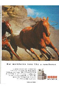 Ricoh Company Ltd. - Our workhorse runs like a racehorse