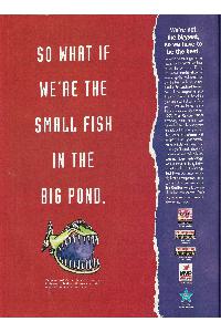 SAG Electronics - So what if we're the small fish in the big pond.
