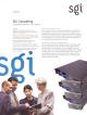 Silicon Graphics (SGI) - SGI Consulting