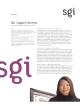 Silicon Graphics (SGI) - SGI Support Services