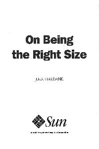 Sun Microsystems - On Being the Right Size
