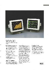 Wyse Technology Inc. - WY-530 IBM PC-Compatib/e Monochrome Monitor