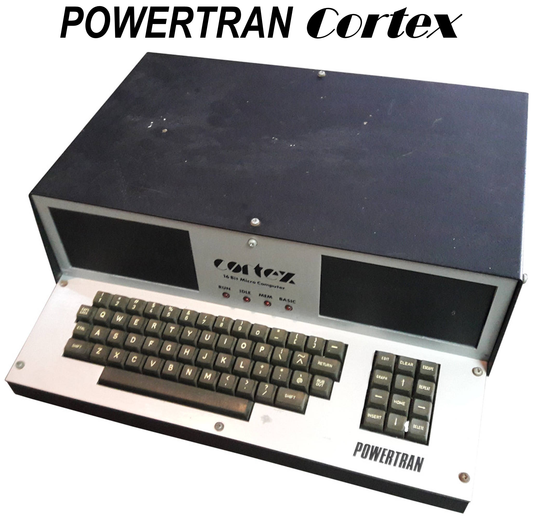 Cortex